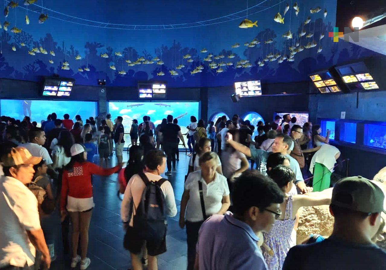 Recibió Aquarium de Veracruz cerca de 100 mil visitantes en vacaciones