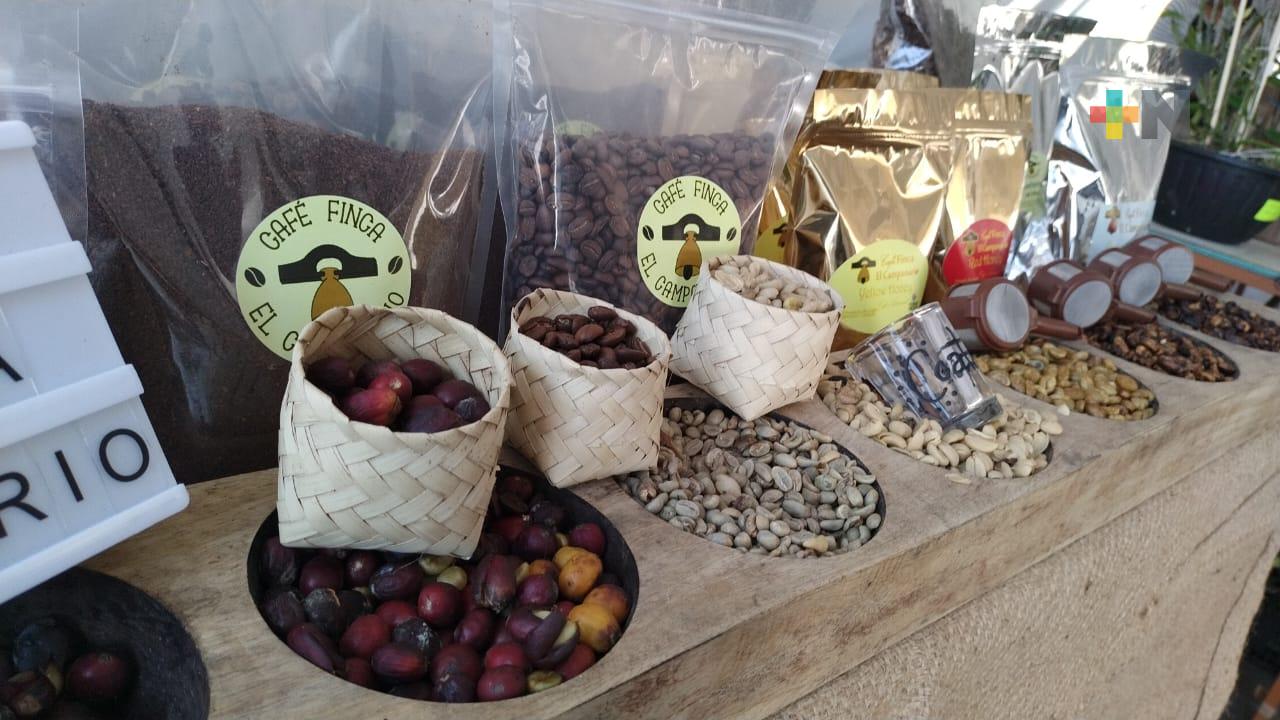 Venta de café, miel, flores y artesanías en parque Hidalgo de Coatepec