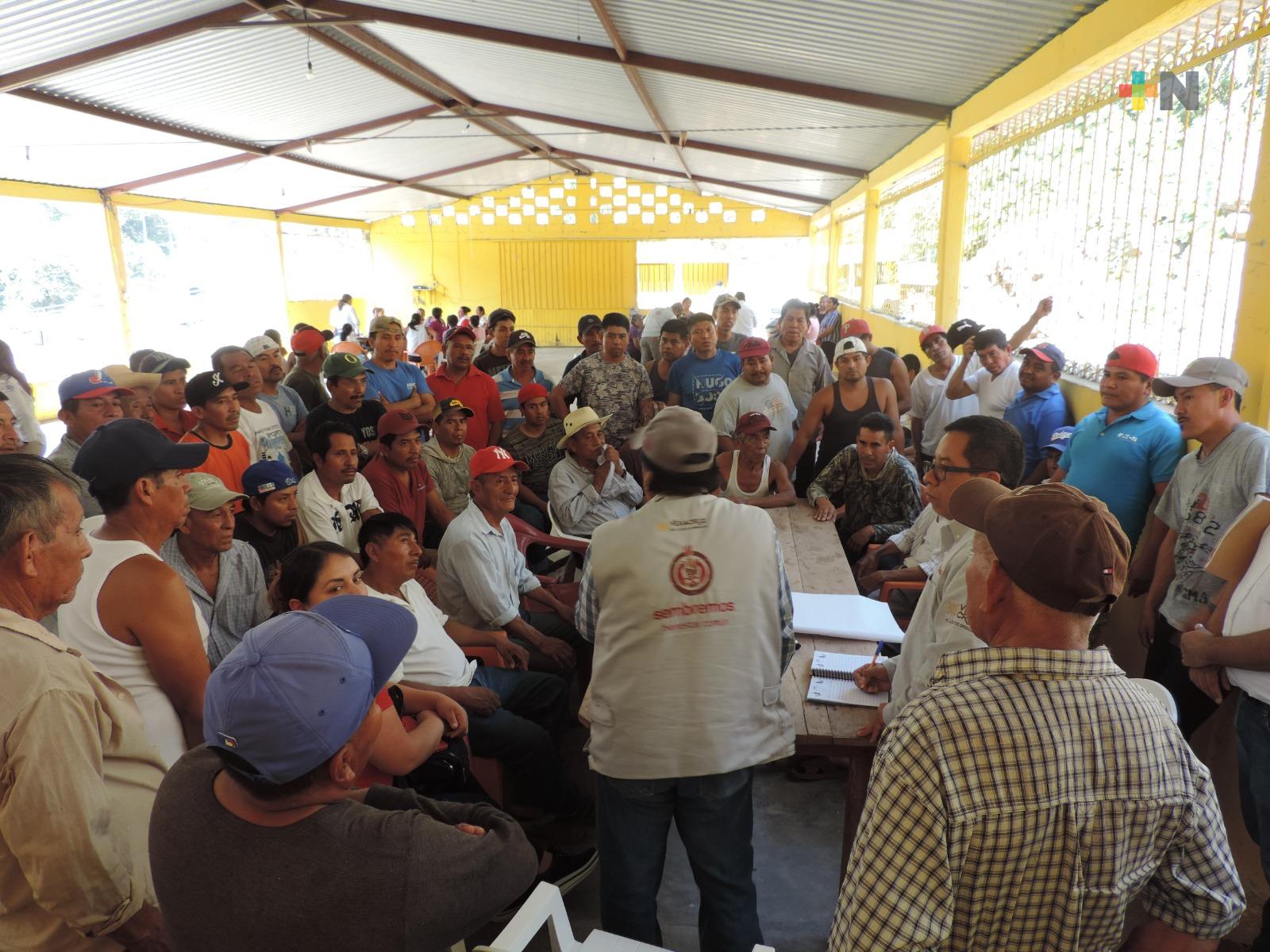 Estrategia Proveer. Desarrollo y Bienestar se amplía a 23 municipios este año