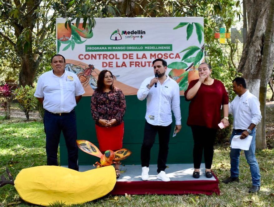 En Medellín buscan reactivar la producción de mango