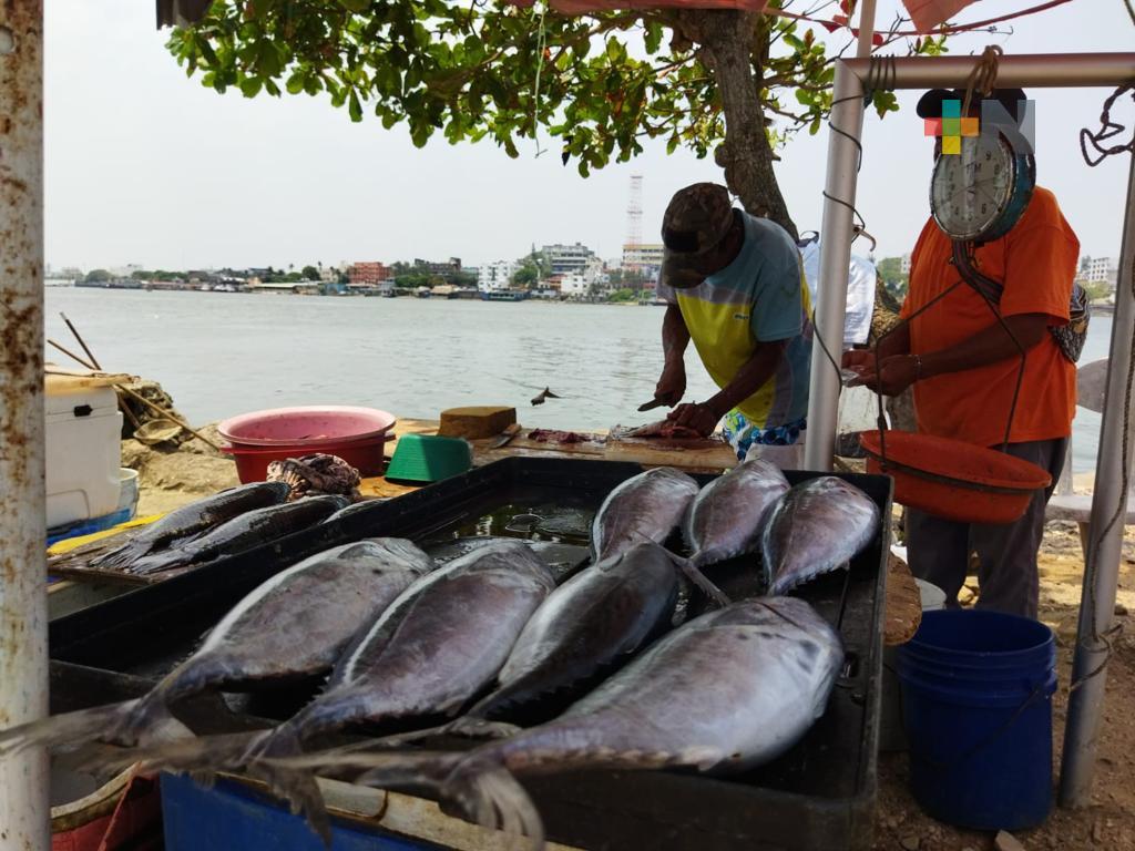Positiva la realización de la Feria del Pescado, en Coatzacoalcos