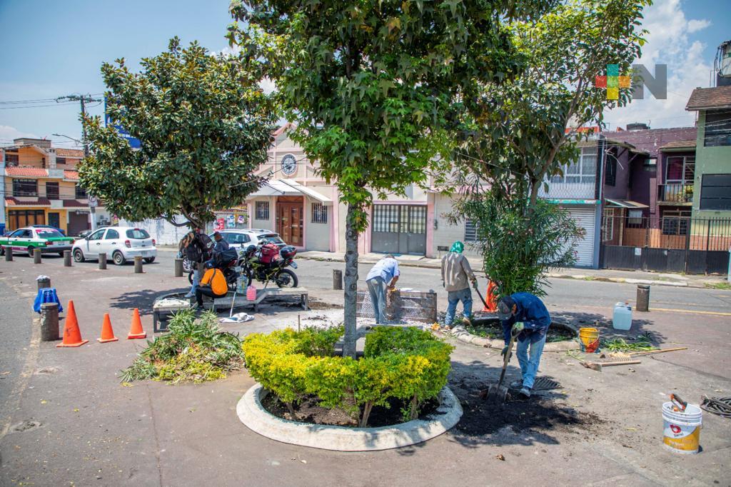 Brinda ayuntamiento mantenimiento a espacios públicos