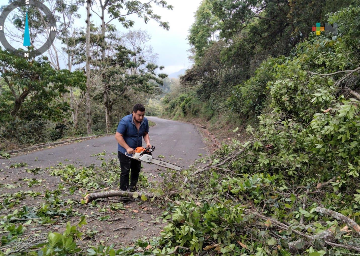Ocho municipios reportan afectaciones por lluvias y norte, tras el Frente frío 49