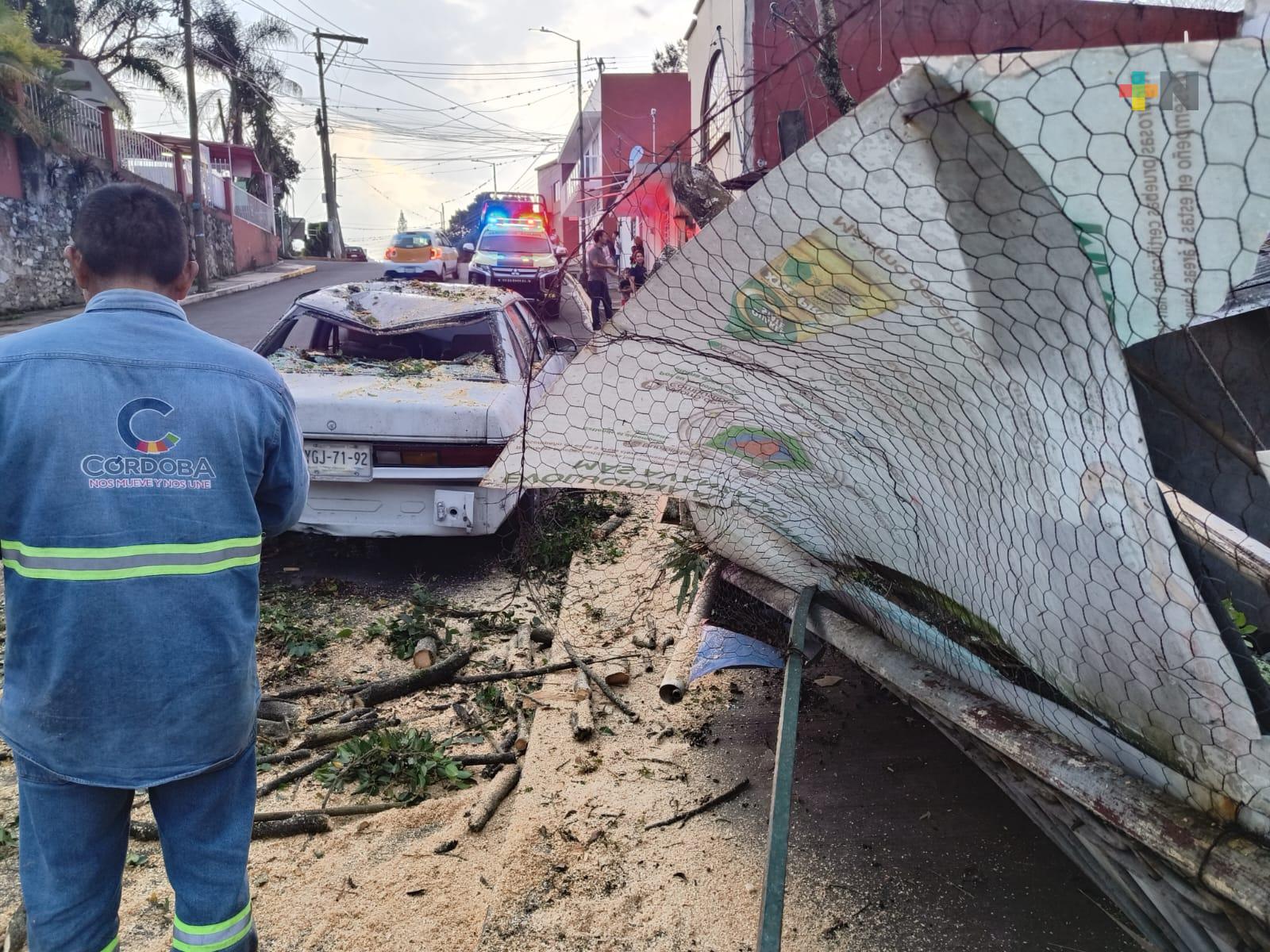 Se registran 30 afectaciones en Córdoba por lluvias intensas