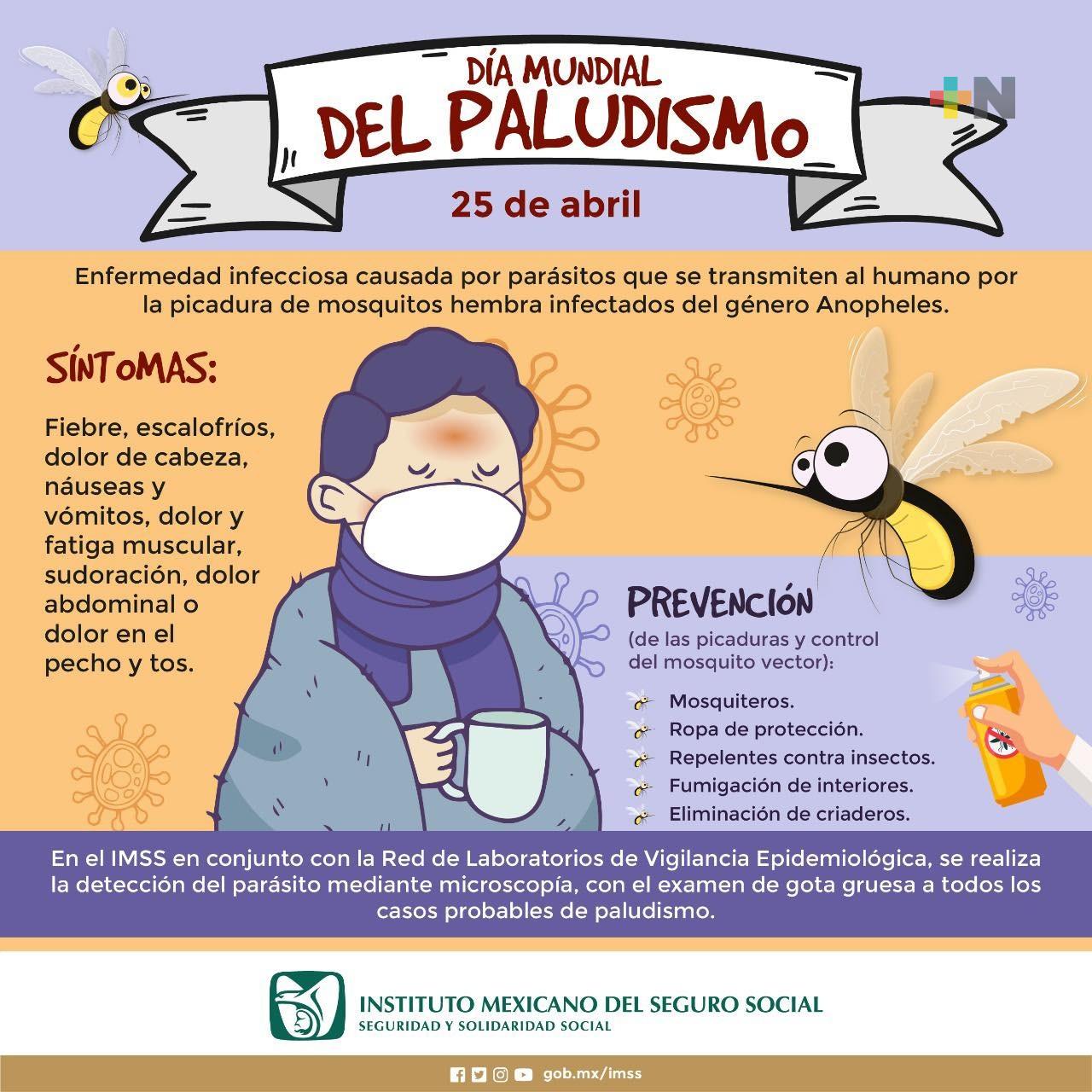 Alerta IMSS-Sur sobre síntomas de paludismo