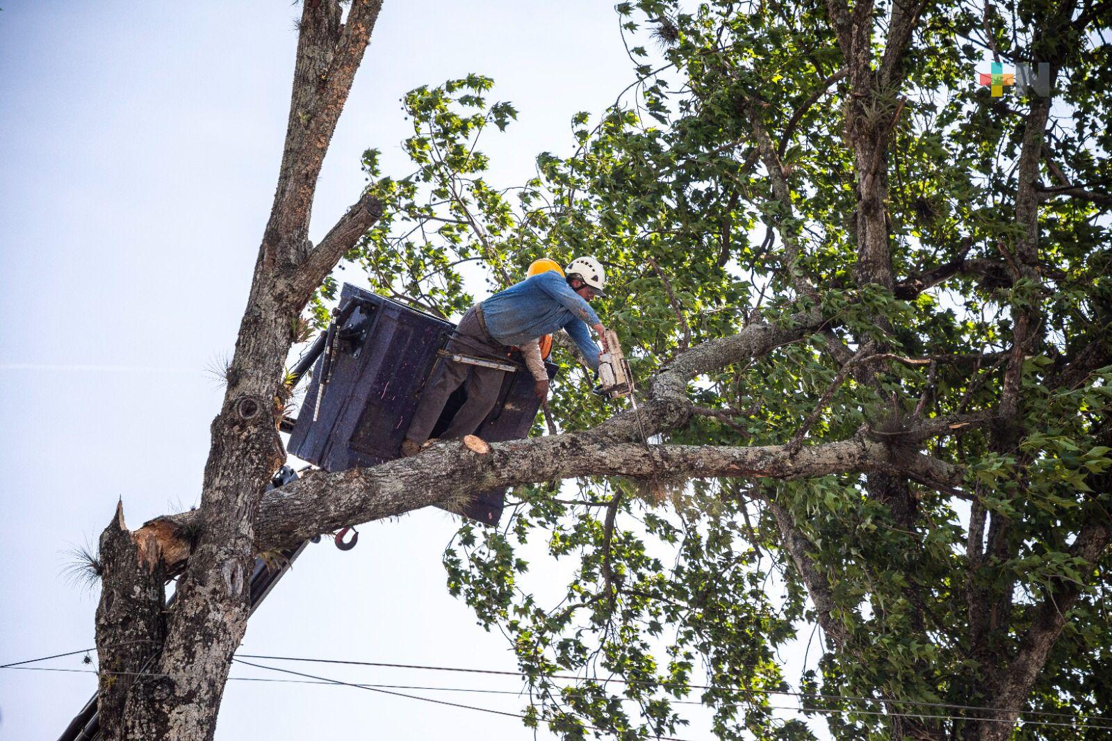 Reitera Ayuntamiento llamado de precaución ante vientos del norte