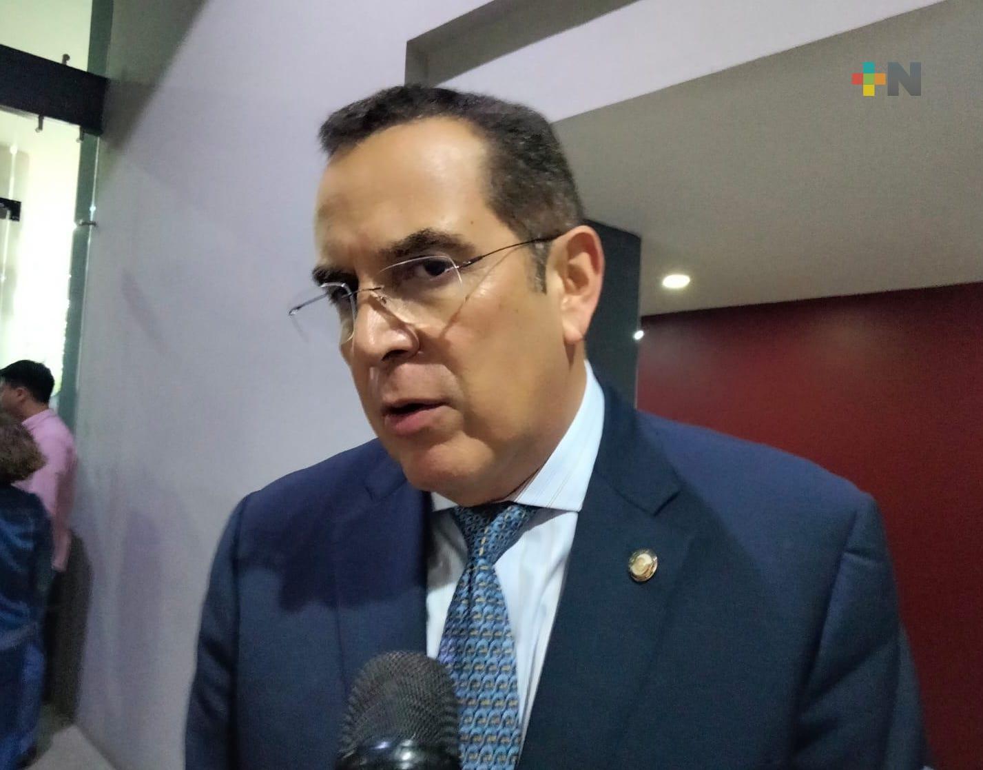 Aspiraciones presidenciales no generarán división en Morena: Pérez Astorga