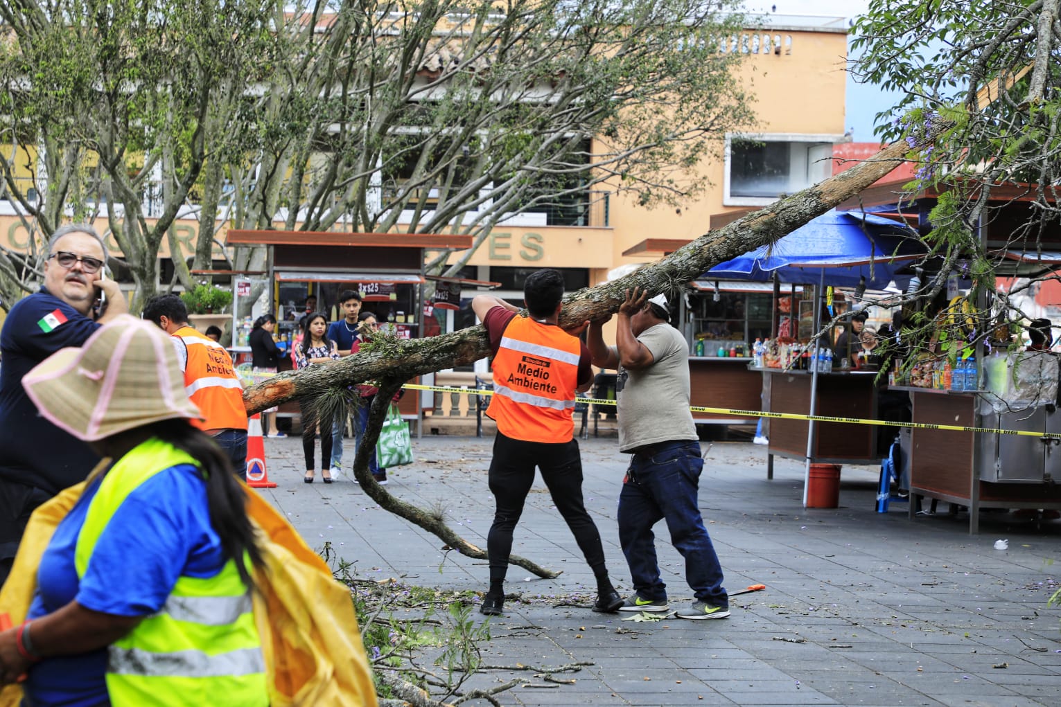 Trabaja ayuntamiento en afectaciones por viento de norte en el parque Juárez