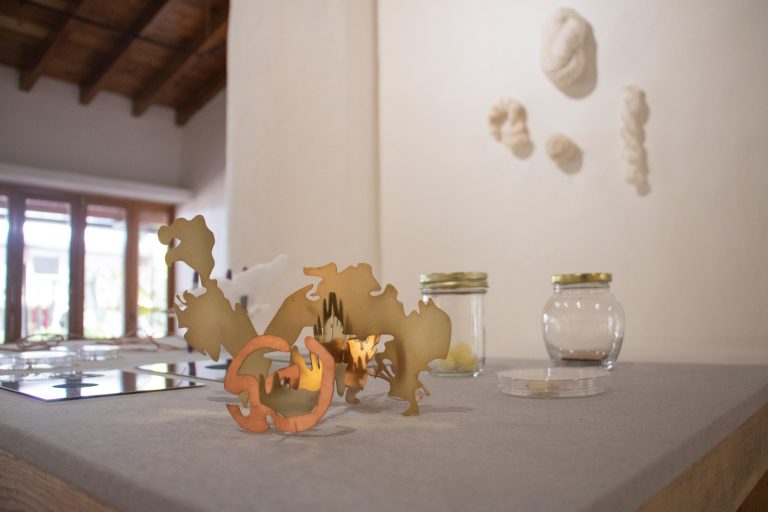 Bombyx mori: Microtejidos, obra de Siglinde Langholz, en el JEX