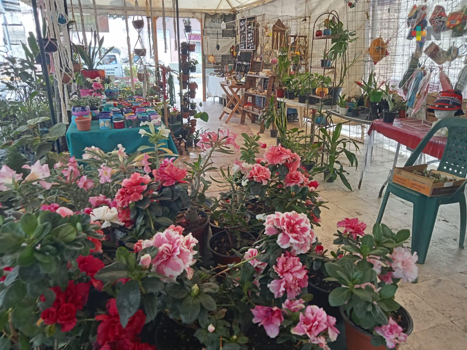 Turistas reactivan economía de artesanos veracruzanos