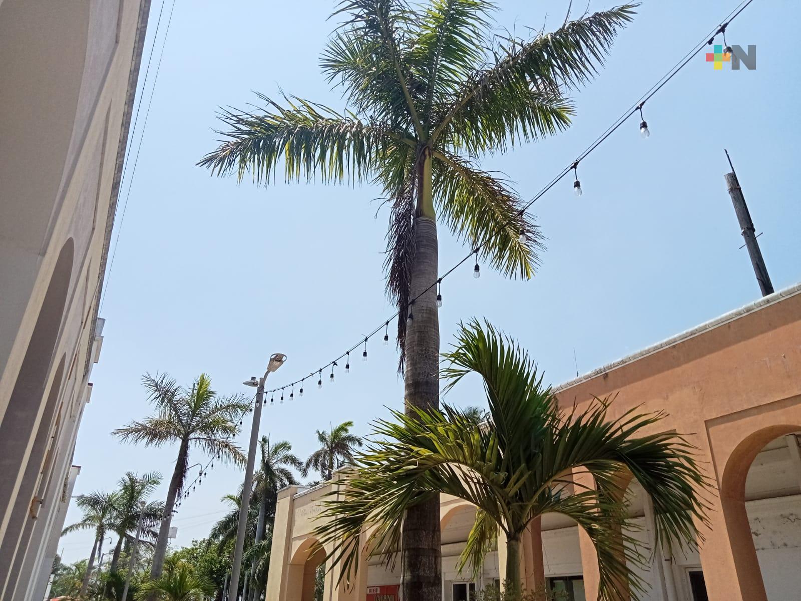 Temperaturas altas y ambiente bochornoso; lluvias por la tarde-noche en Veracruz