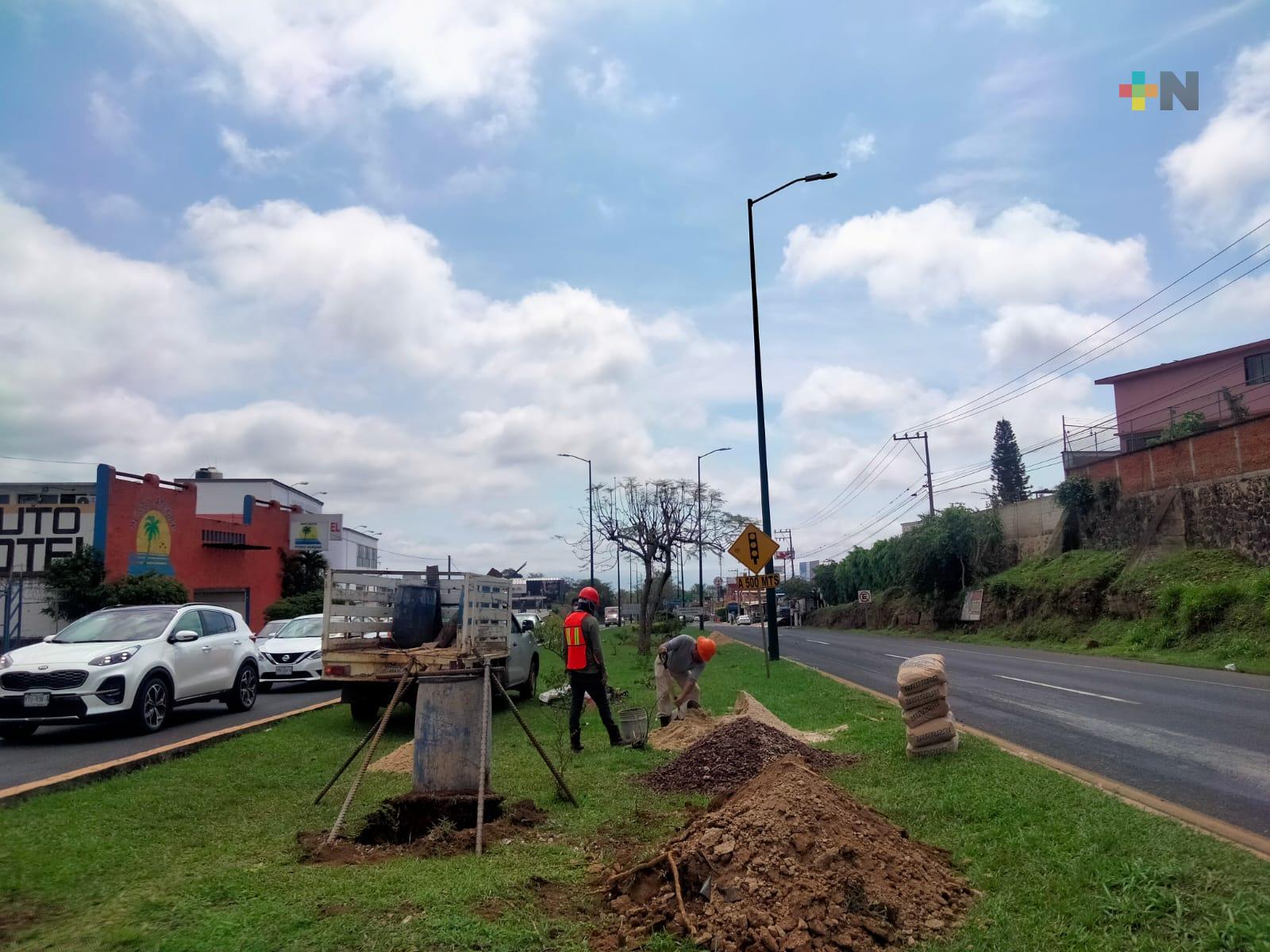 Por iniciar, construcción del paso a desnivel en Las Trancas; concluiría en noviembre