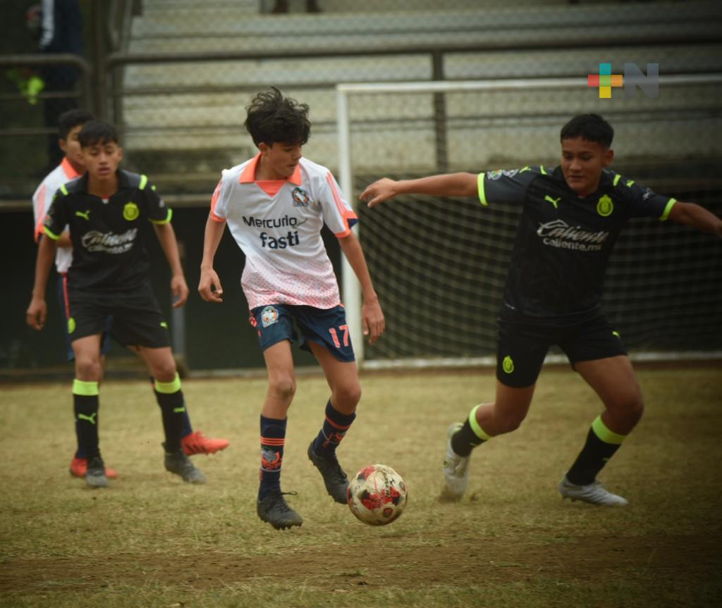 Delfines de Xalapa recibirá al Porto Palmeiras Veracruz, en LNJF