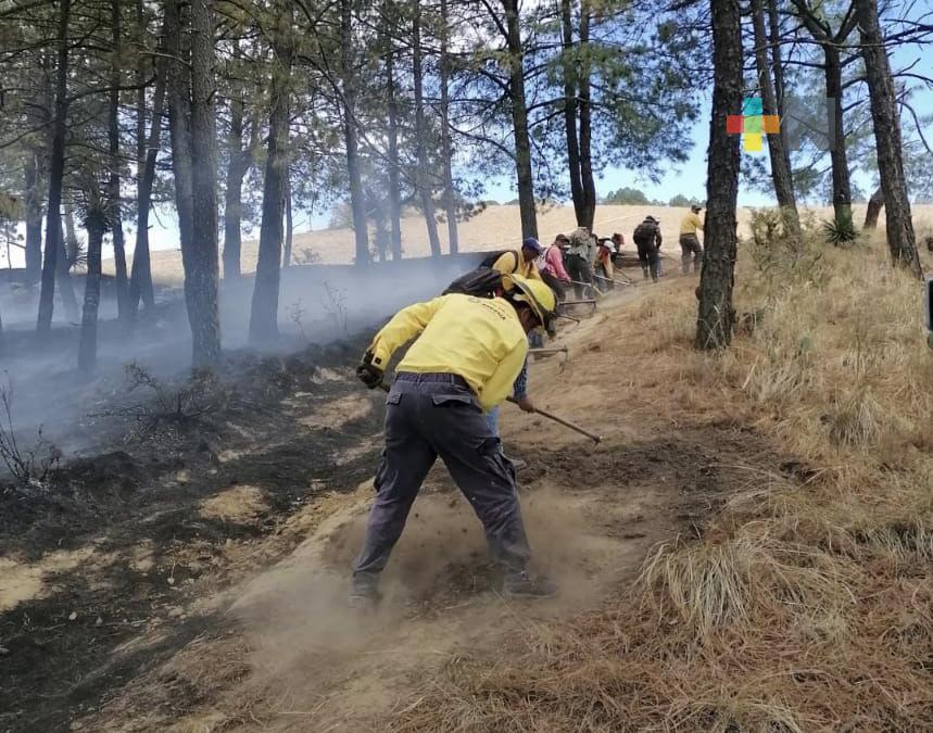 Reporta SPC liquidados incendios forestales de Perote