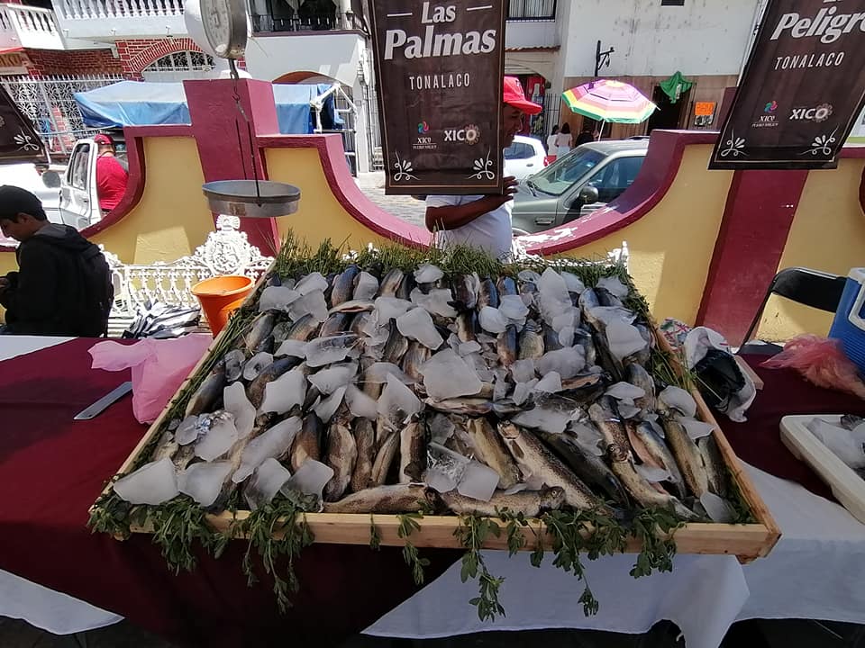 Productores de trucha piden apoyos de autoridades; aún tienen carencias en Tonalaco, Xico