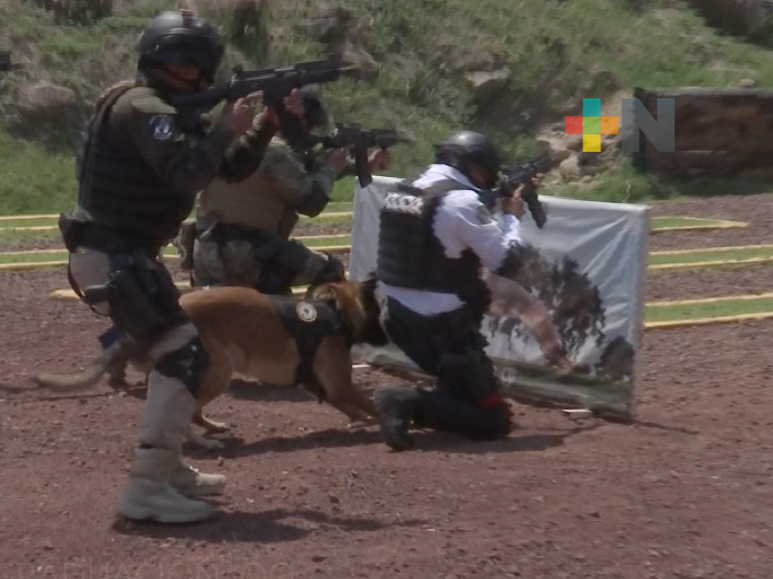 Egresa primera generación del Diplomado Nacional Táctico K9 impartido en El Lencero