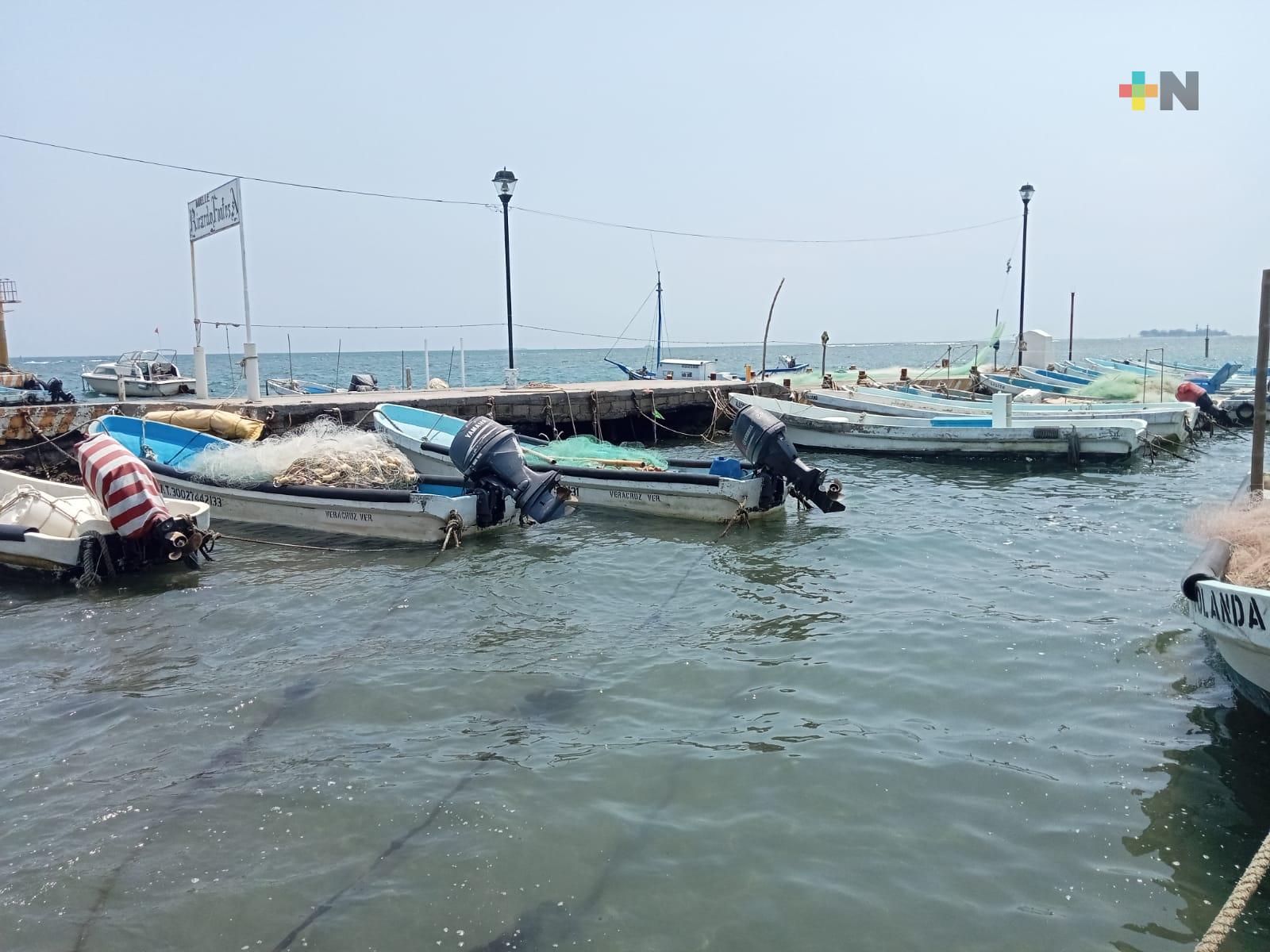Zona de pesca de Veracruz registró pocas especies marinas en Cuaresma