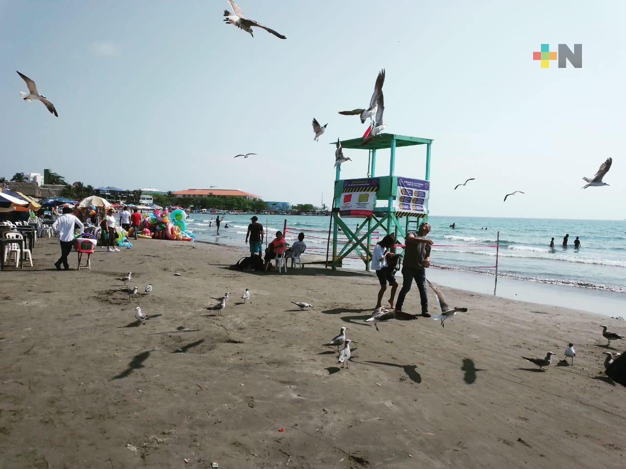 Veracruz ofrece playas, historia y mucho más a turistas