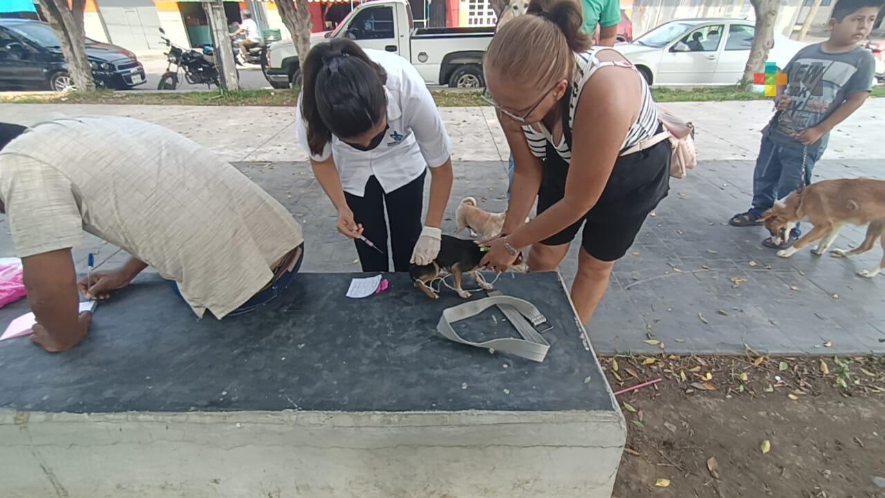 Del 17 al 25 de abril habrá vacunación antirrábica en Martínez de la Torre