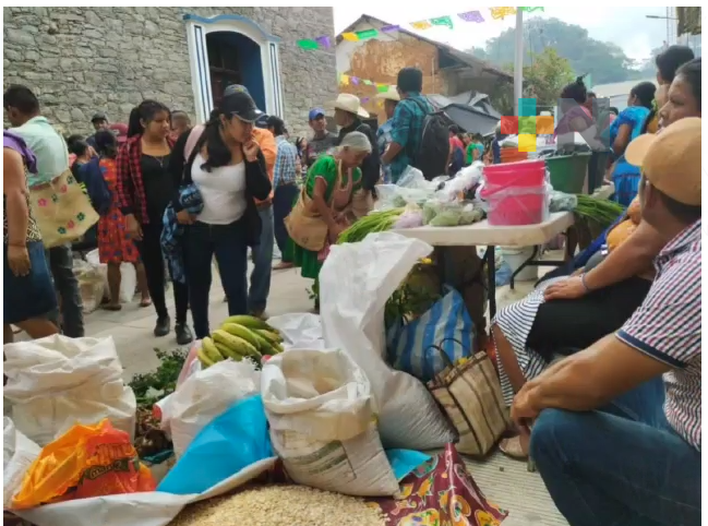Realizan tianguis campesino en Zontecomatlán