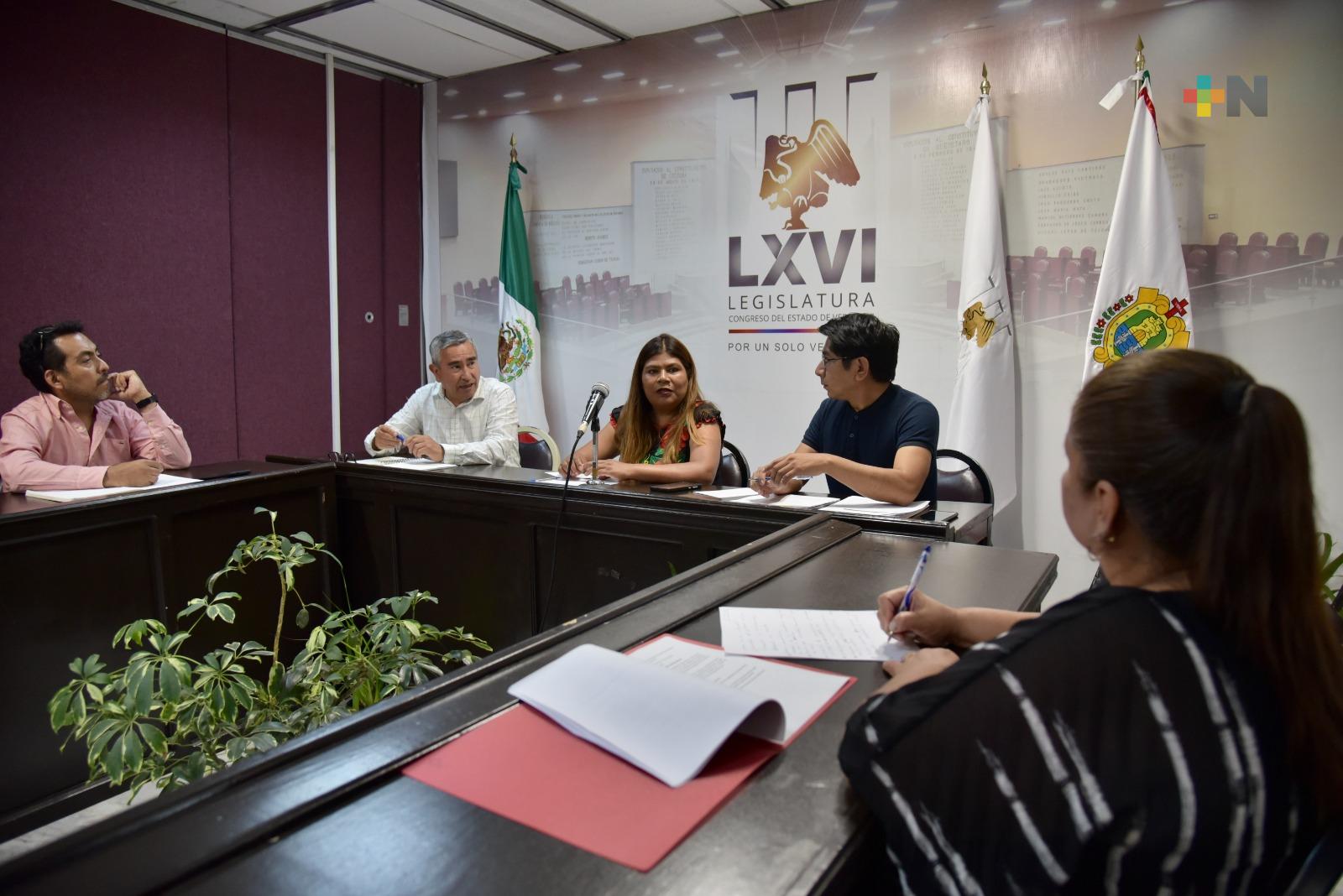 Analiza diputada con expertos creación de iniciativa de Ley del Maíz Nativo