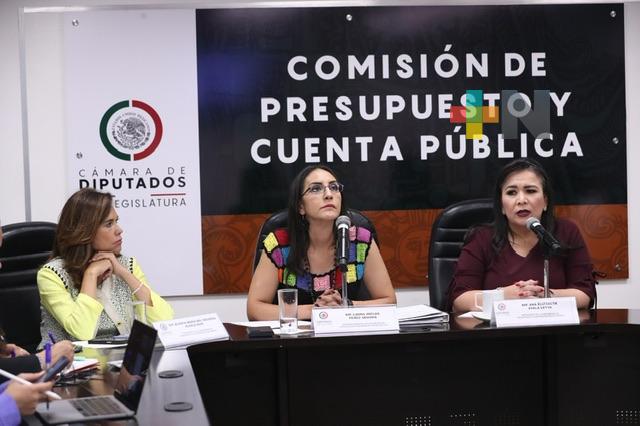 Subcomisión de Presupuesto avala predictamen sobre perspectiva de género