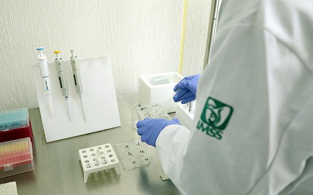 Trabajan especialistas del IMSS para contribuir en terapia celular que repare daño del páncreas por diabetes tipo 2