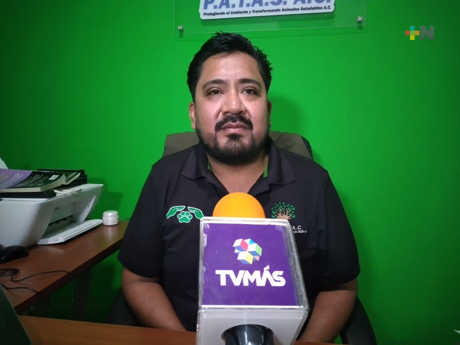 Aumentan casos de omisión de cuidados en mascotas del municipio de Veracruz