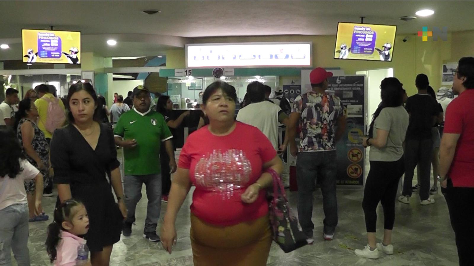 Aquarium de Veracruz registra gran afluencia de turistas