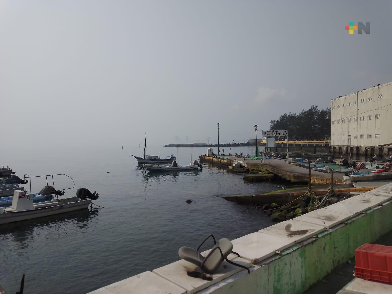 Niebla, lluvia ligera y llovizna en gran parte del Estado de Veracruz