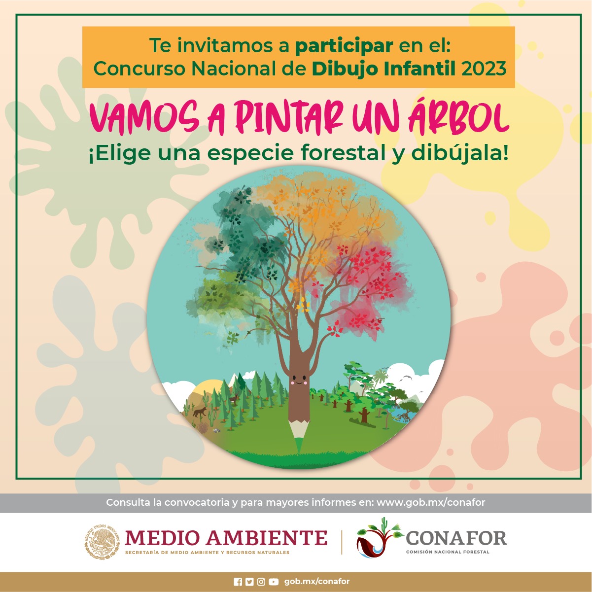 Conafor invita al concurso nacional de dibujo infantil “Vamos a pintar un árbol 2023”