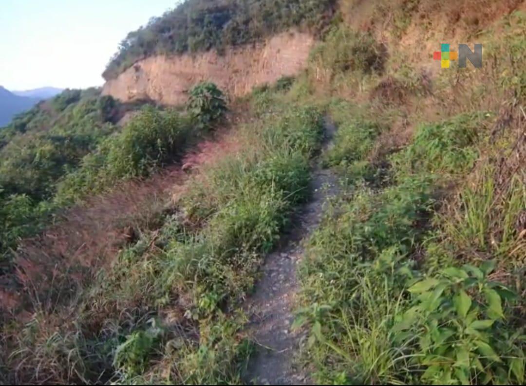 Comunidad indígena pide apoyo del gobierno estatal para concluir carretera en  Ilamatlán