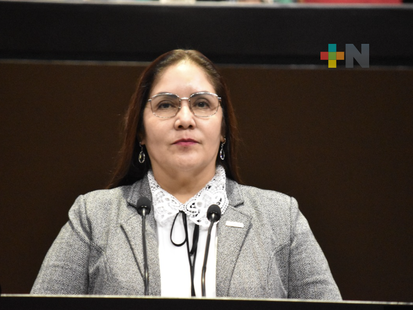 A Pepe Yunes le molesta la soberanía energética de AMLO: Claudia Tello