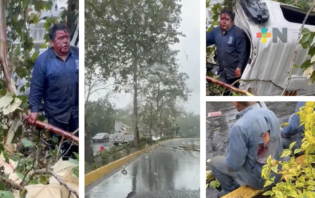 Cae un árbol en Murillo Vidal y sufren fatal accidente empleados de Xalapa