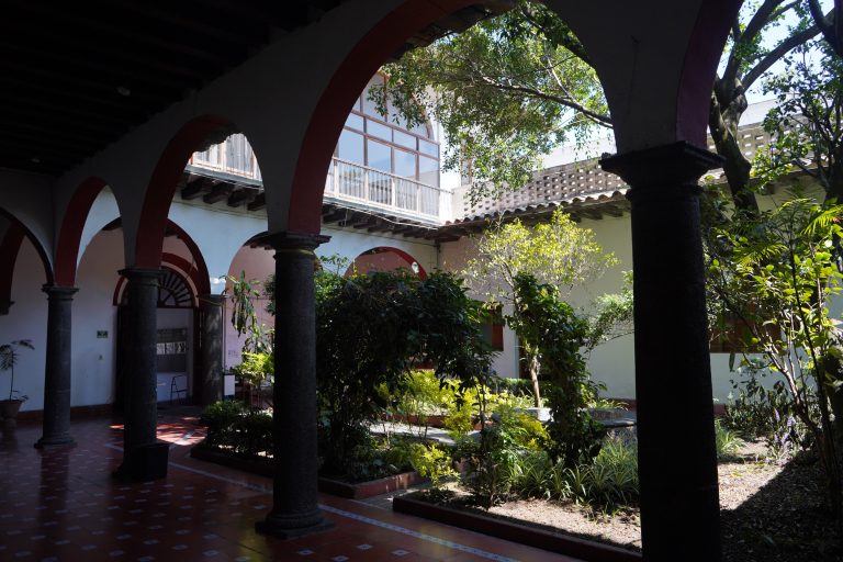 Presentan IVEC y UV el primer Encuentro de Jóvenes Poetas “Vuelo en la casa”