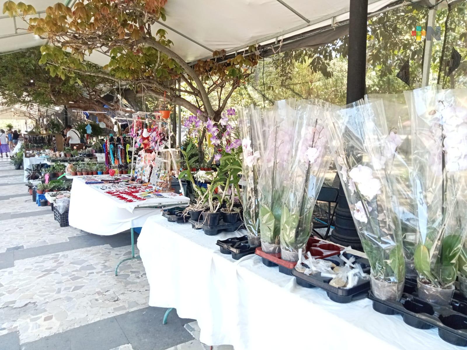 Comerciantes de flores de diferentes municipios están instalados en parque Zamora