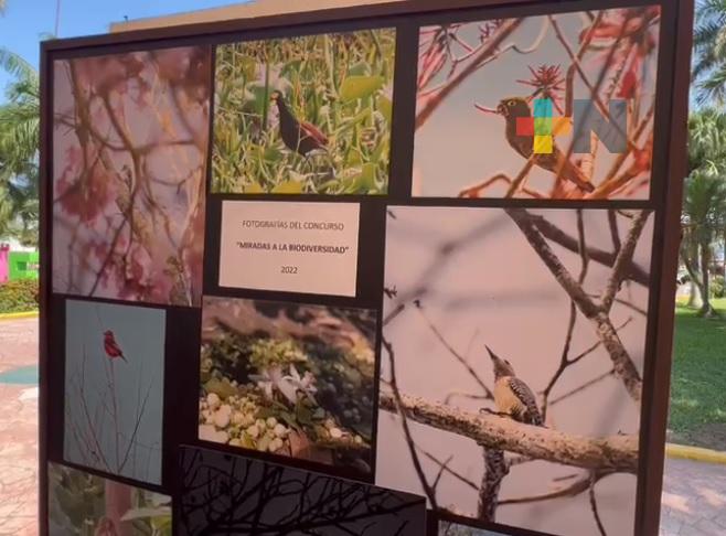 Exposición fotográfica «Miradas a la biodiversidad» en parque de Martínez de la Torre