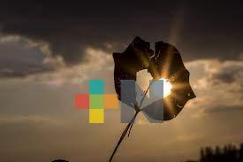 Organización altruista brinda terapias gratuitas a madres en duelo