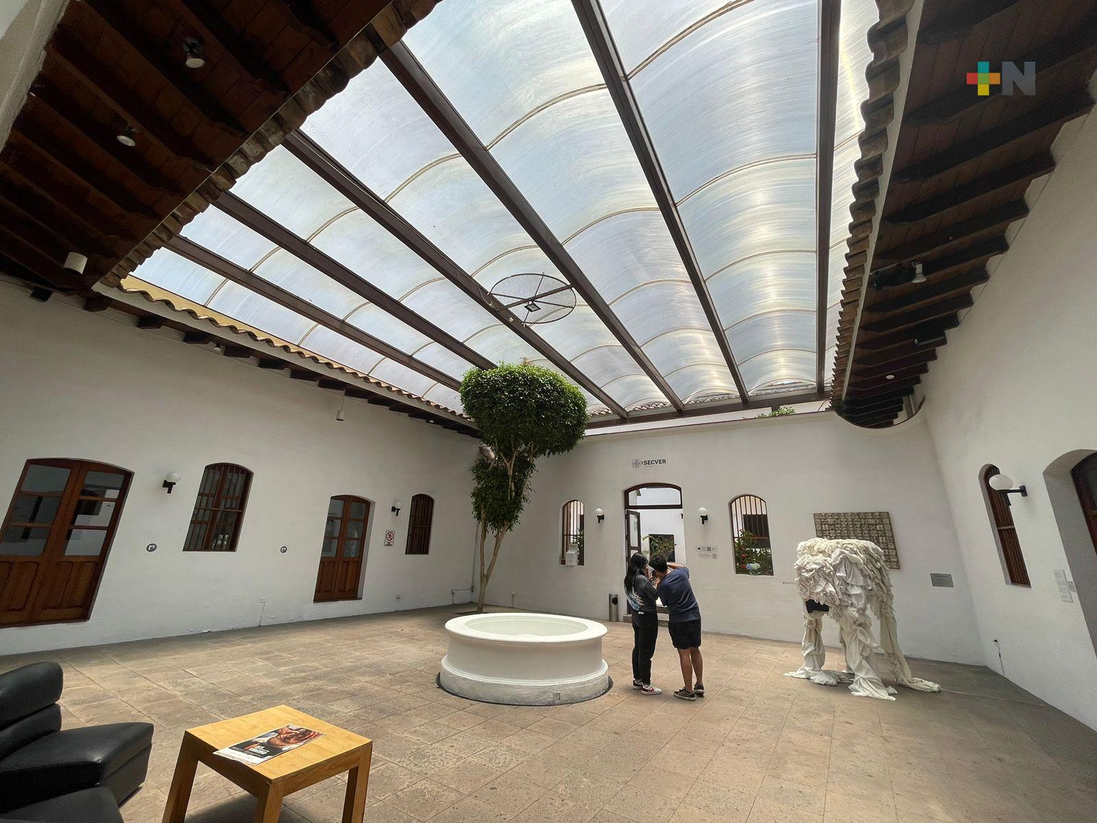 Visitar la Galería de Arte Contemporáneo de Xalapa, una excelente opción