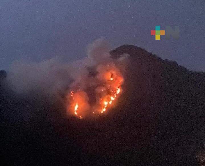 Incendio forestal se registra en límites de Omealca y Zongolica