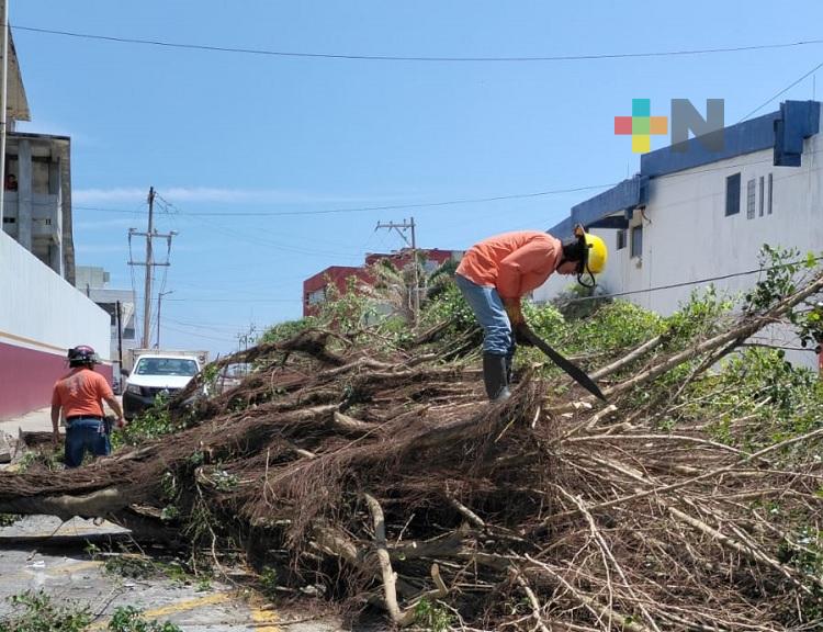 Lluvia torrencial deja afectaciones en Las Choapas y Coatzacoalcos