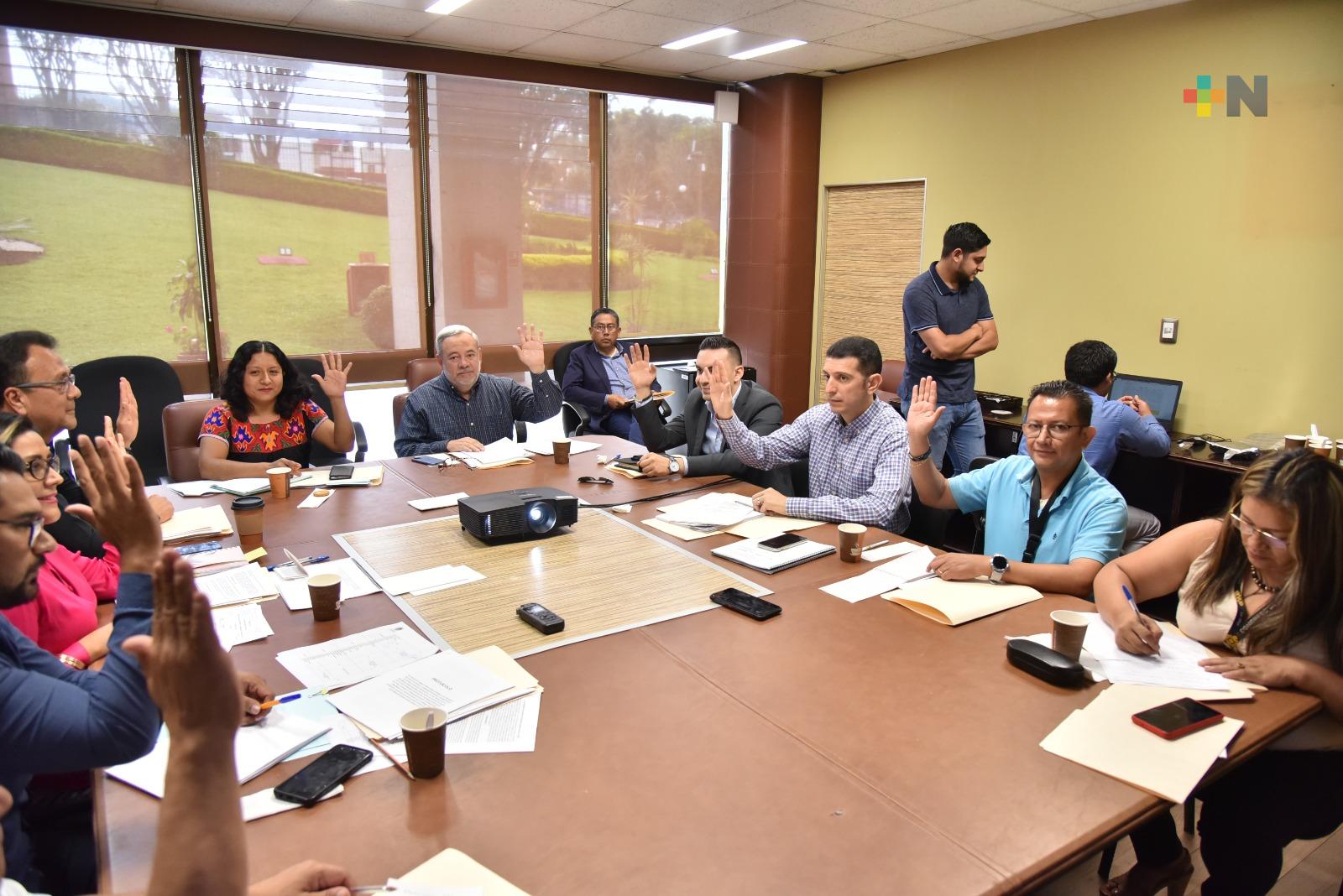 Aprueban proyectos de protocolos y convocatorias para consultas