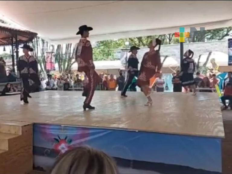 Realizan concurso nacional de huapango en Huayacocotla