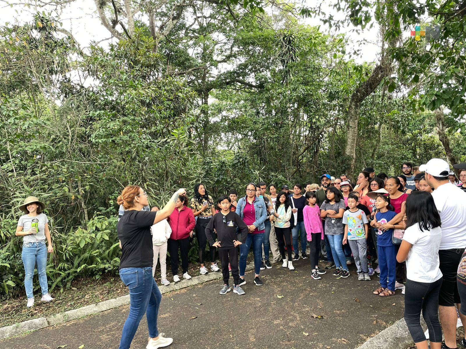 Imparten taller Tlacuacheando para niñas y niños de Xalapa y la región