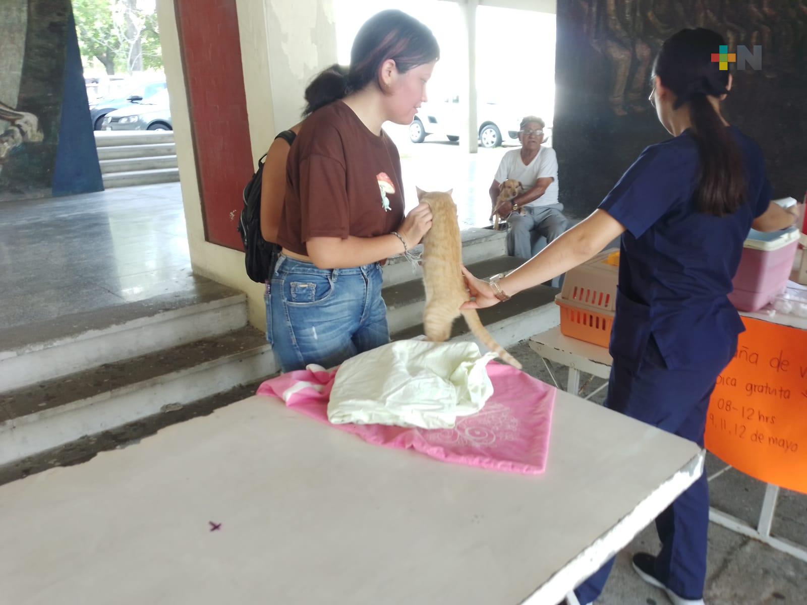 Exitosa campaña de vacunación antirrábica de UV; se programará otra semana