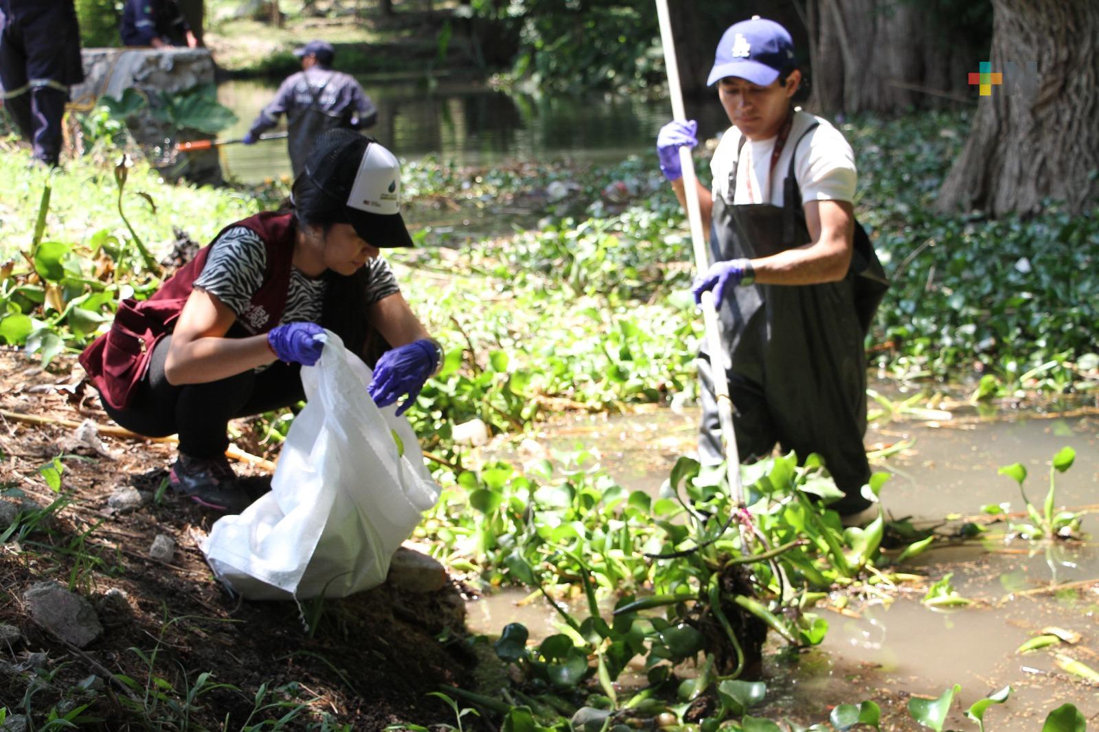 Sedema y jóvenes realizan jornadas de limpieza en Áreas Naturales Protegidas
