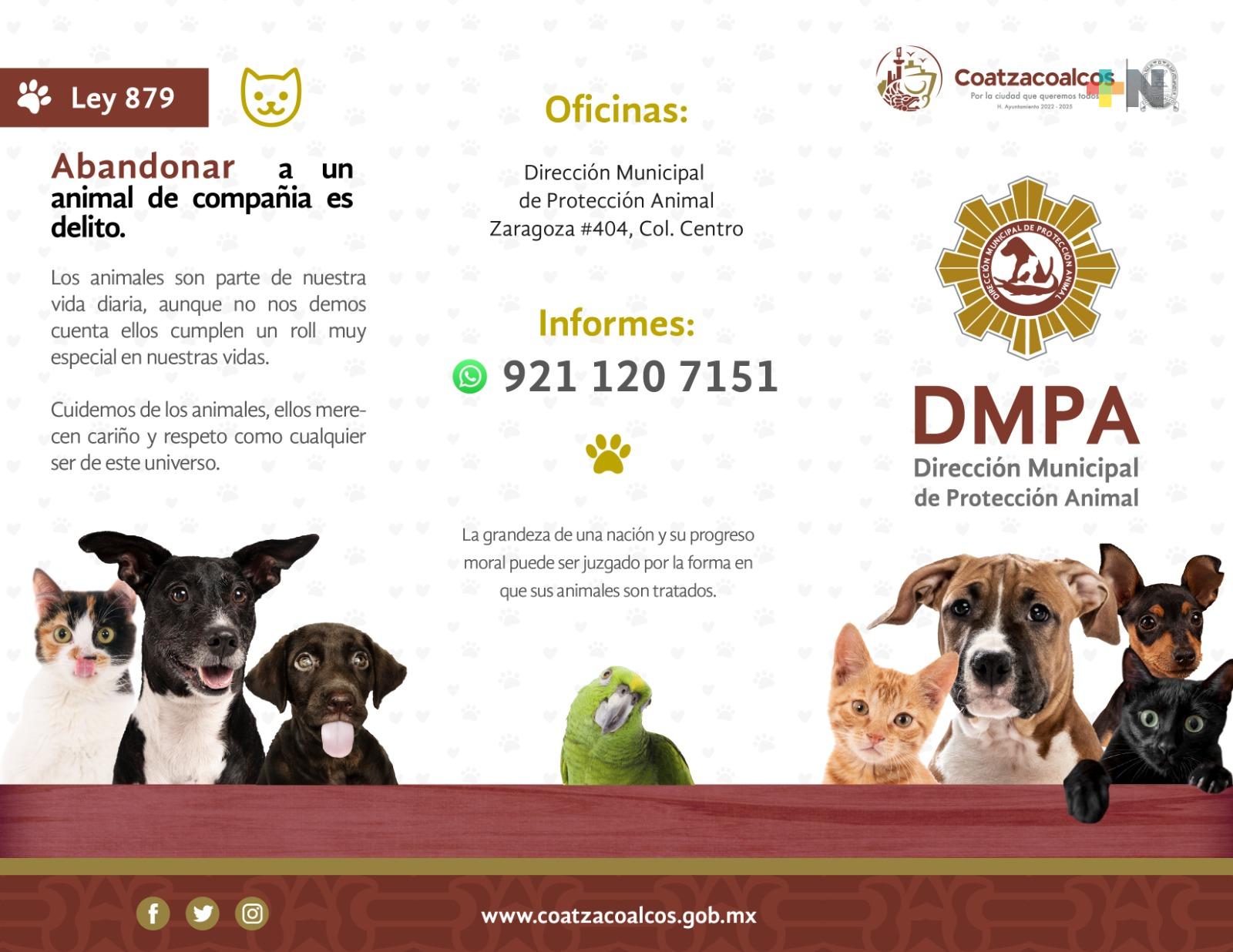 Atiende ayuntamiento de Coatza denuncias formales por maltrato animal