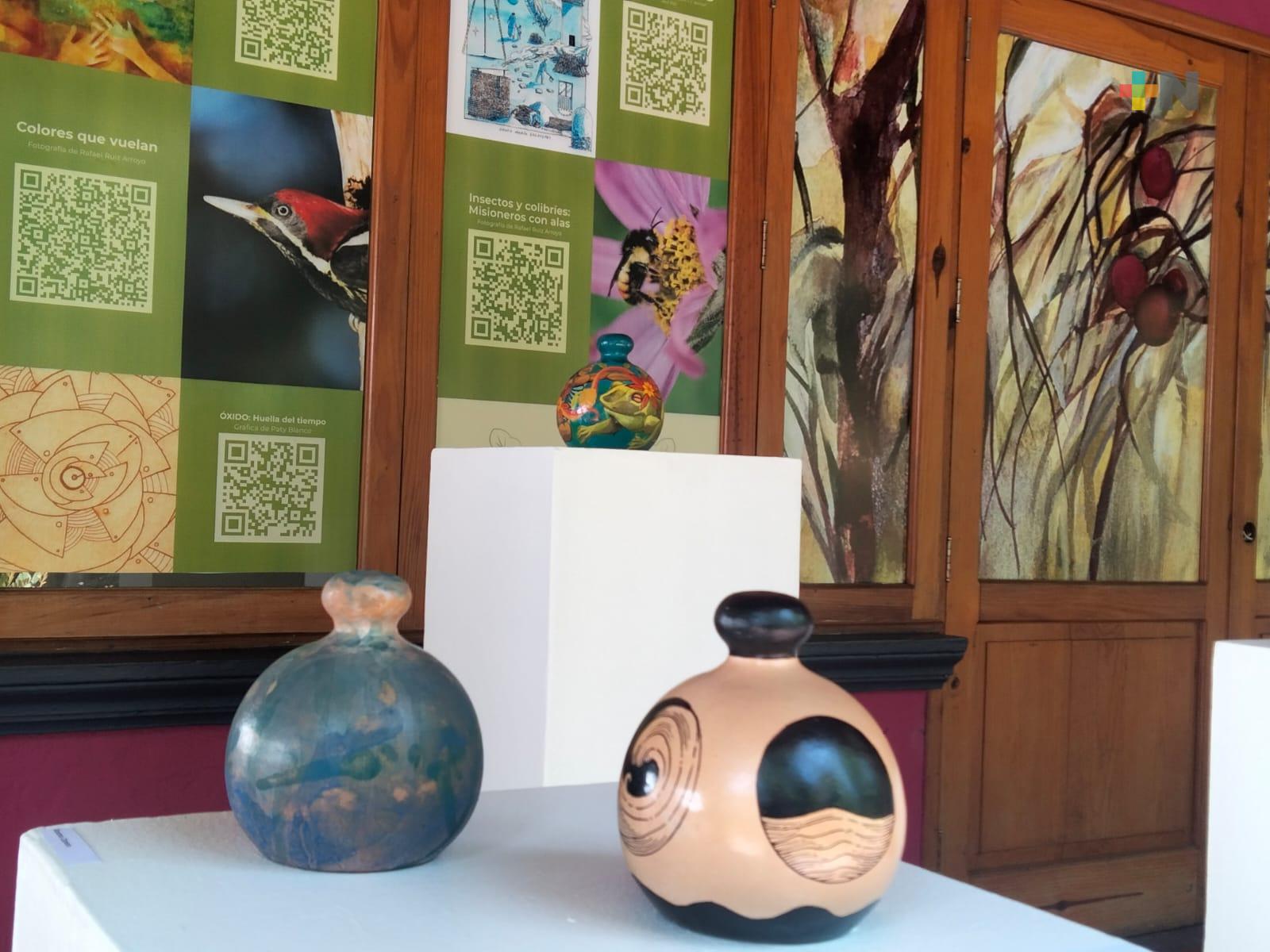 En JEX se imparte el taller para desarrollo de proyectos culturales y artísticos