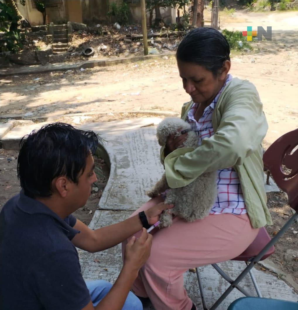 Llevarán jornada de vacunación antirrábica al área rural de Coatzacoalcos
