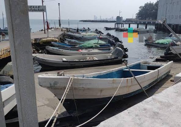 Ante baja producción acuícola, pescadores trabajan en otras actividades